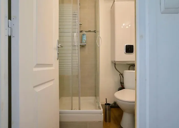 La Pepite Lilloise 公寓